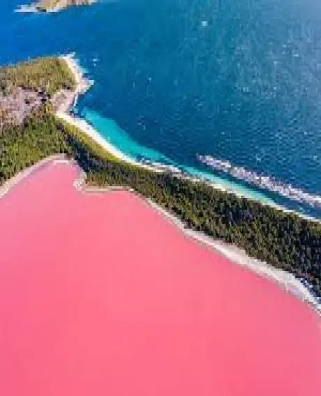 Lac Rose